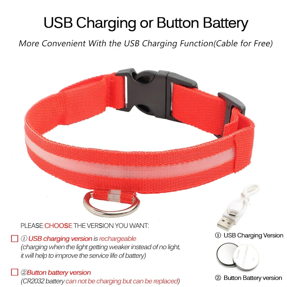 LED Dog Collar - Anti-Lost Rechargeable Safety Light-Up Collar for Night Walks